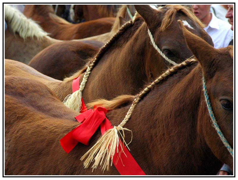 RG_Bulat en fête_4073