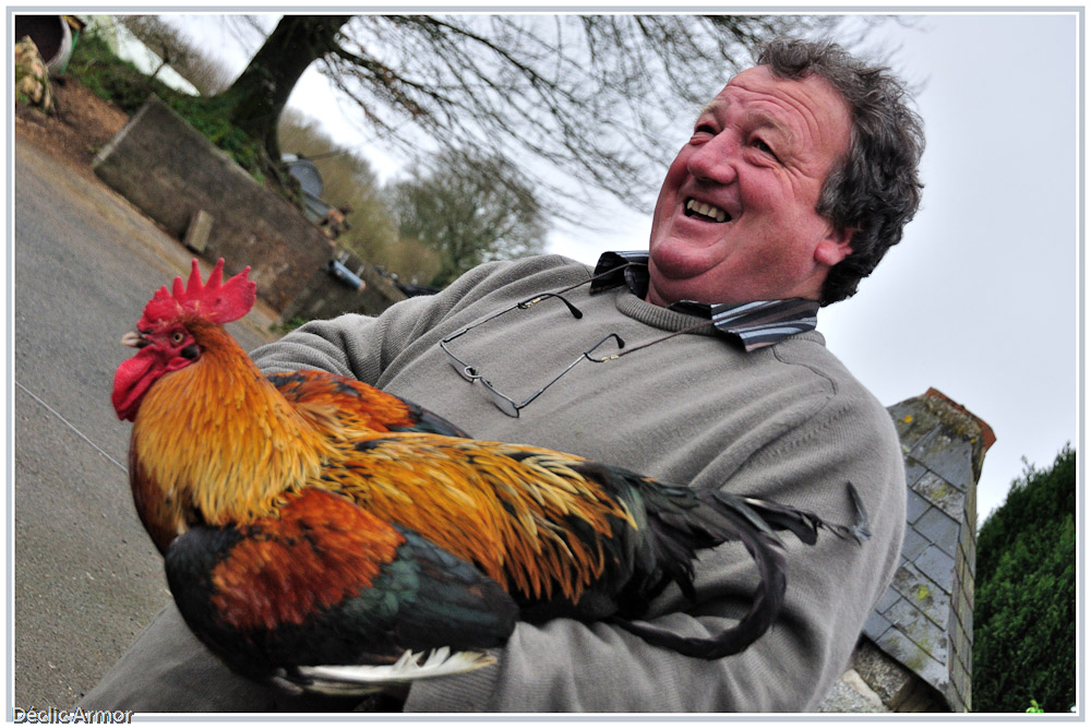 Le coq de Jean-Paul