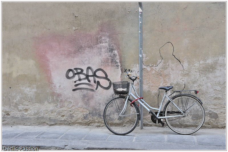 Le cycliste