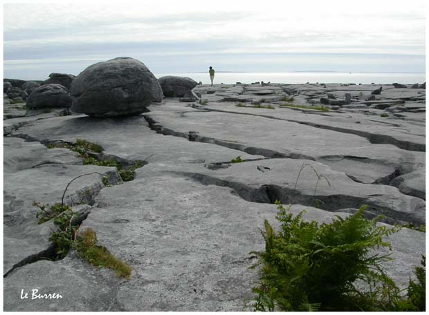 Le Burren (Irlande)