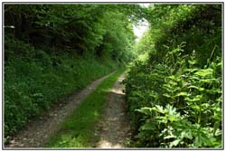 RG_chemin plougonver_3477