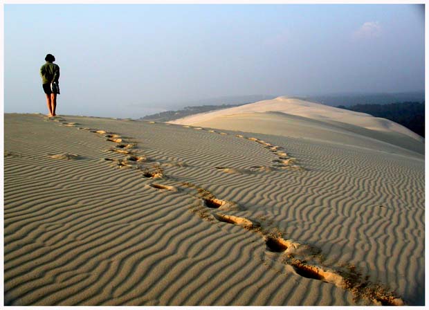 Dune Pila 3