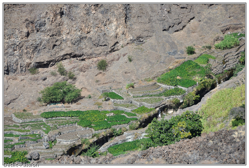Le verdoyant vallon de Tarafal