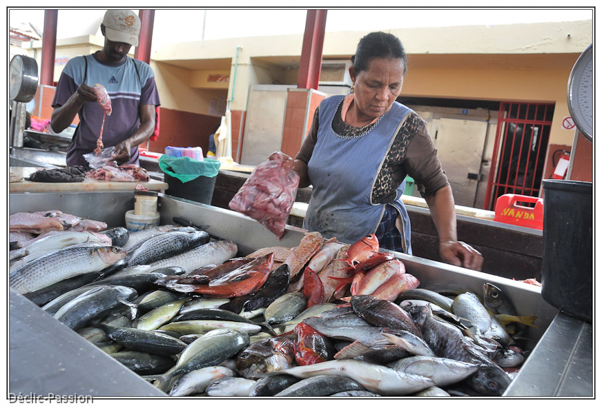 Le marché aux poissons