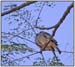DSCN0514