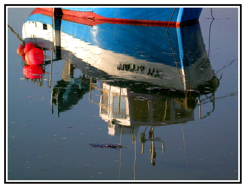 DSCN8694
