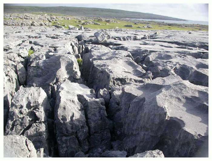 ieburren6577gf