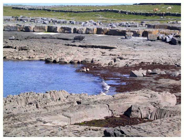 ieburren6598gf