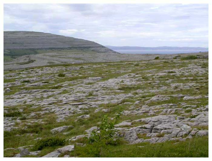 ieburren6668gf