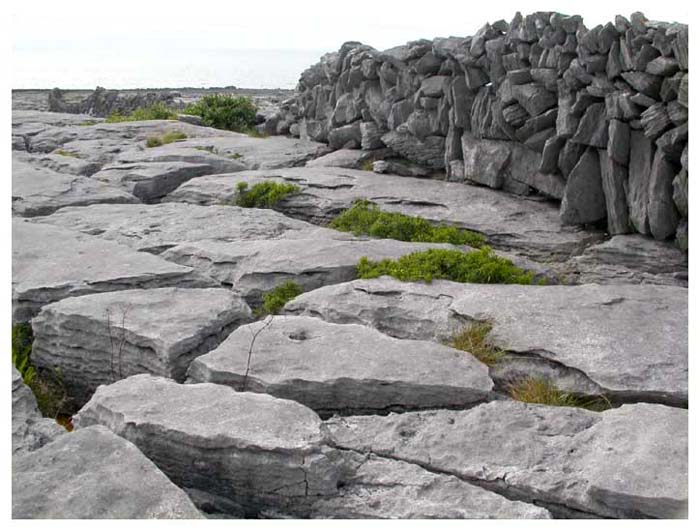 ieburren6692gf