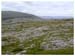 ieburren6668gf