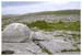 ieburren6697gf