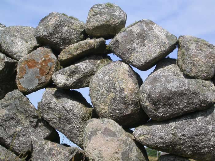 ieconnemara6786gf
