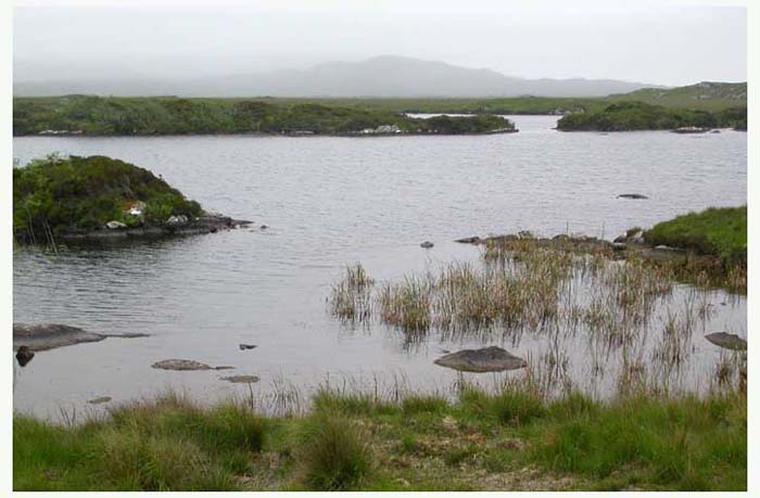ieconnemara6955gf