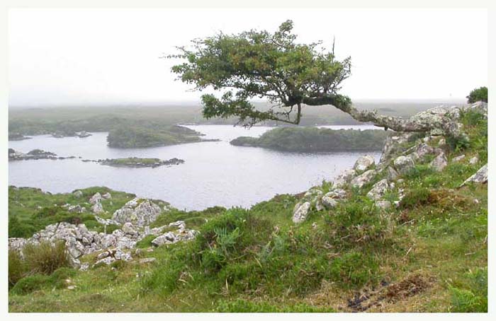 ieconnemara6966gf