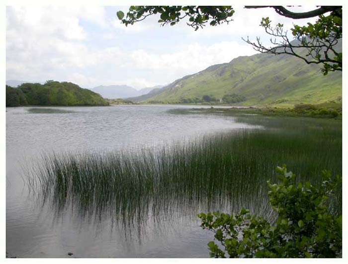 ieconnemara7044gf