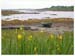 ieconnemara6939gf