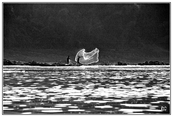 DSC_2386nb