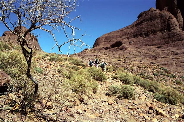 sarho végétation (10)