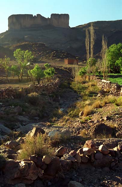 sarho végétation (3)