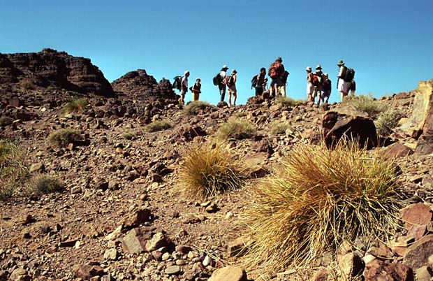 sarho végétation (9)