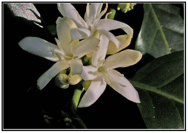 DSCN0407