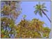 DSCN0590