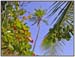 DSCN0591