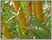DSCN0693