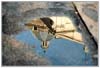 a reflets chemin 6
