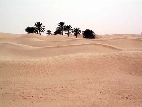 dunes pamiers