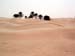 dunes pamiers