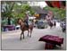 DSCN0550