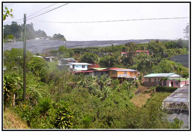 DSCN0334