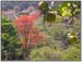 DSCN0342