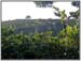 DSCN0375