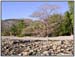 DSCN0518