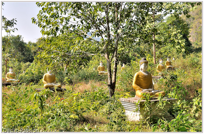 Lumbini garden...