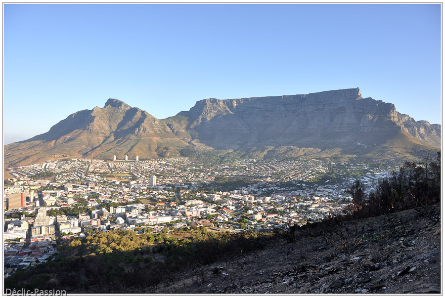 Cape Town