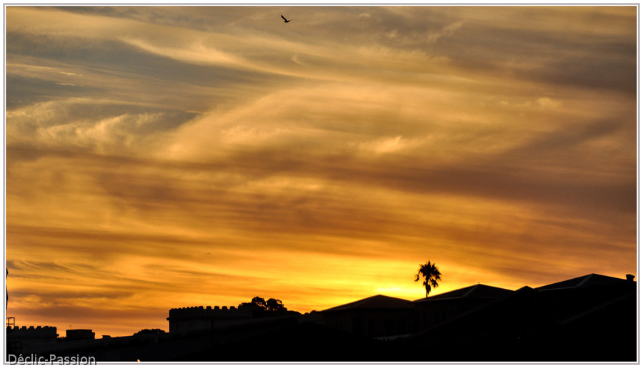 Cape Town