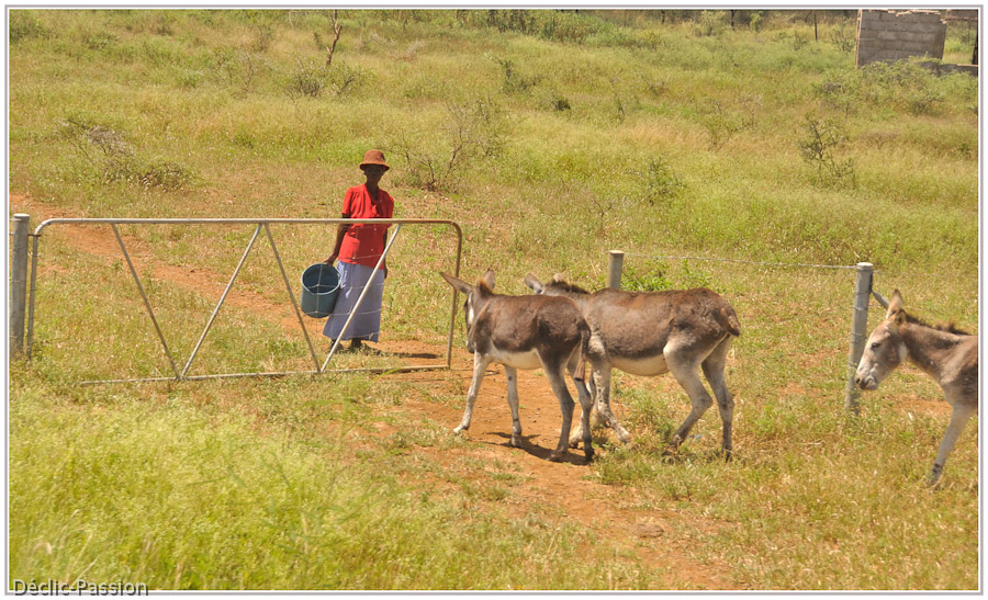 Traversée du Swaziland