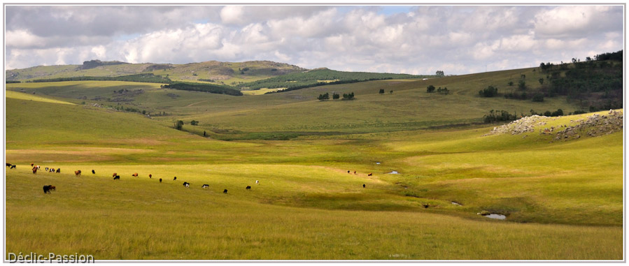 Paysage du Swaziland