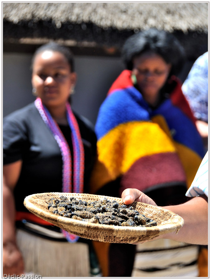 Peuple Ndebele