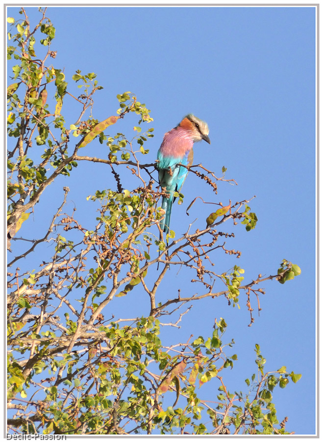 Haut ... en couleurs !