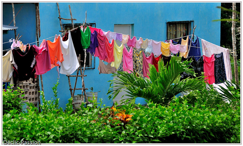 Couleurs locales