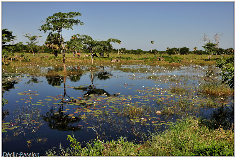 Entre Tabasco et Chiapas