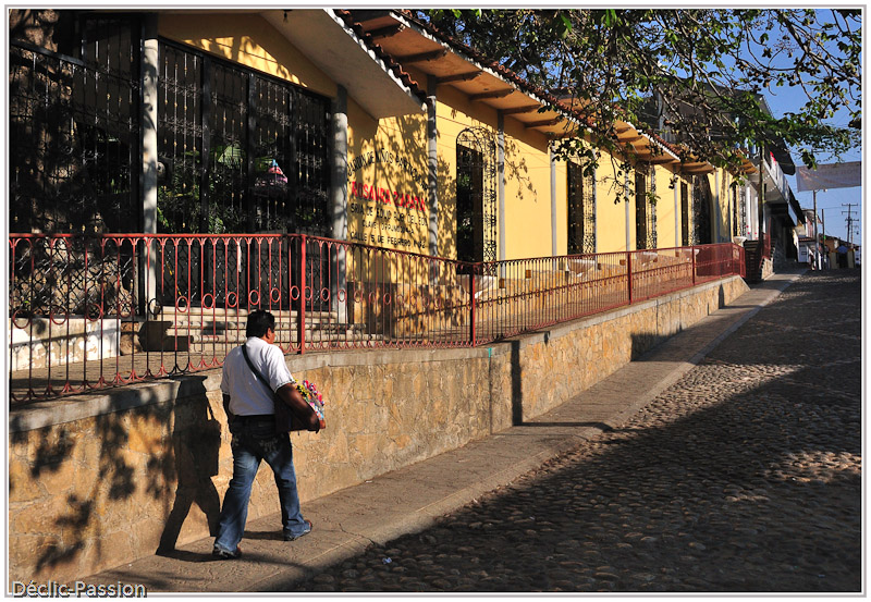 Promenade matinale