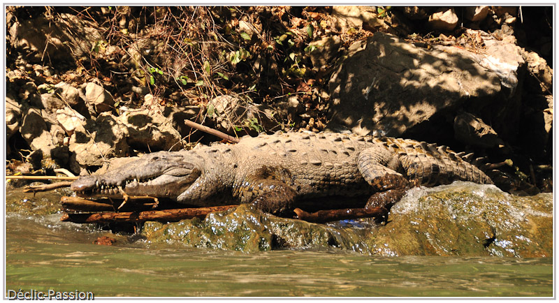 Rio Grande de Chiapas