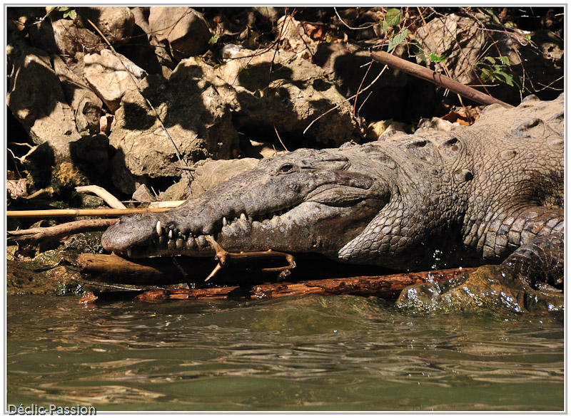 Rio Grande de Chiapas