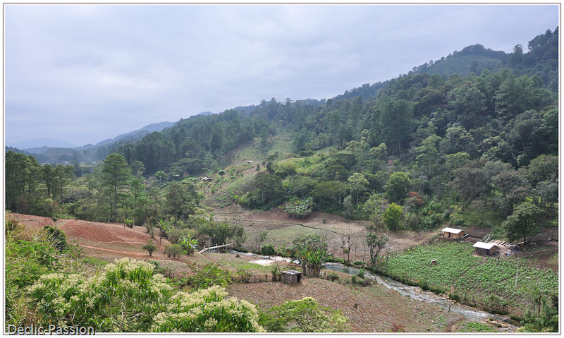 Paysage du Chiapas